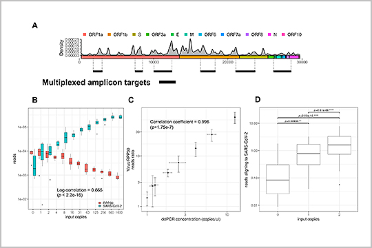 Profiling SARS-CoV-2 mutation fingerprints that range from the viral pangenome to individual infection quasispecies