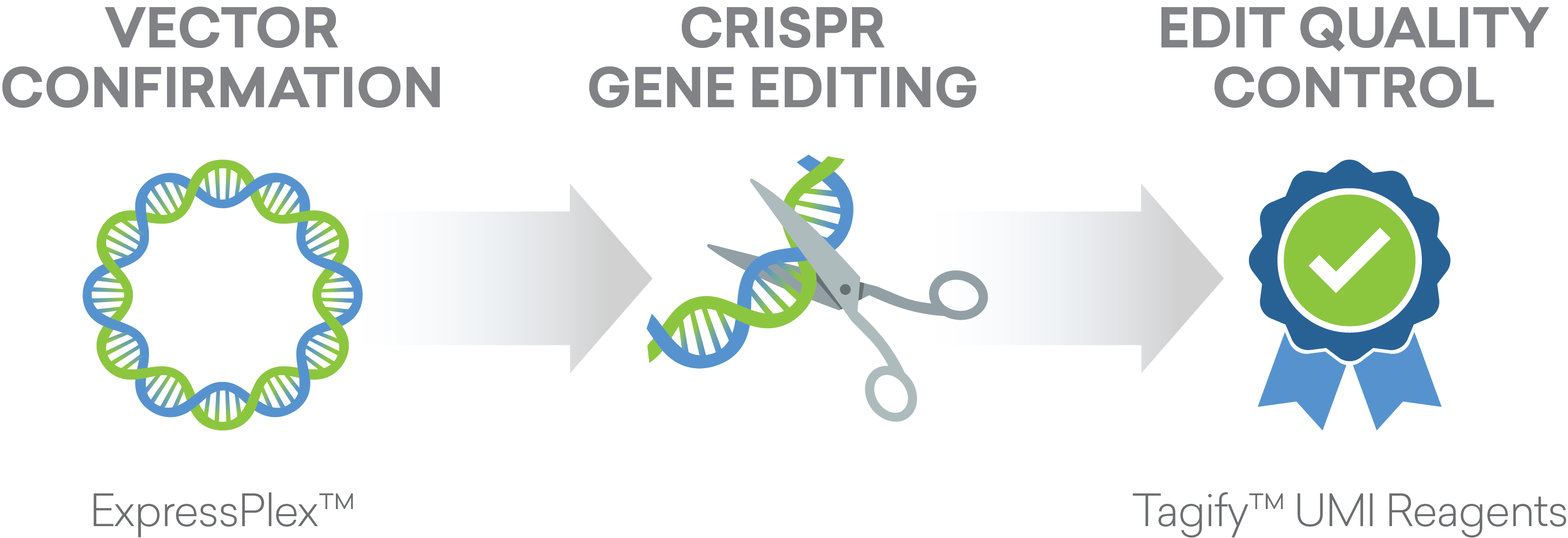 Gene Editing QC process with Tagify and ExpressPlex