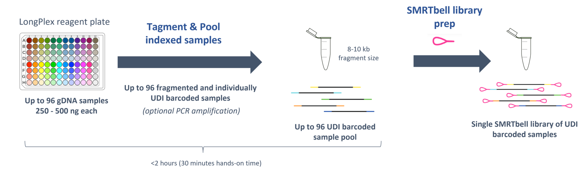 LongPlex Multiplexing Kit